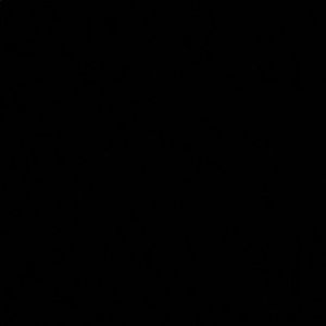 Meet your Posher, Fran